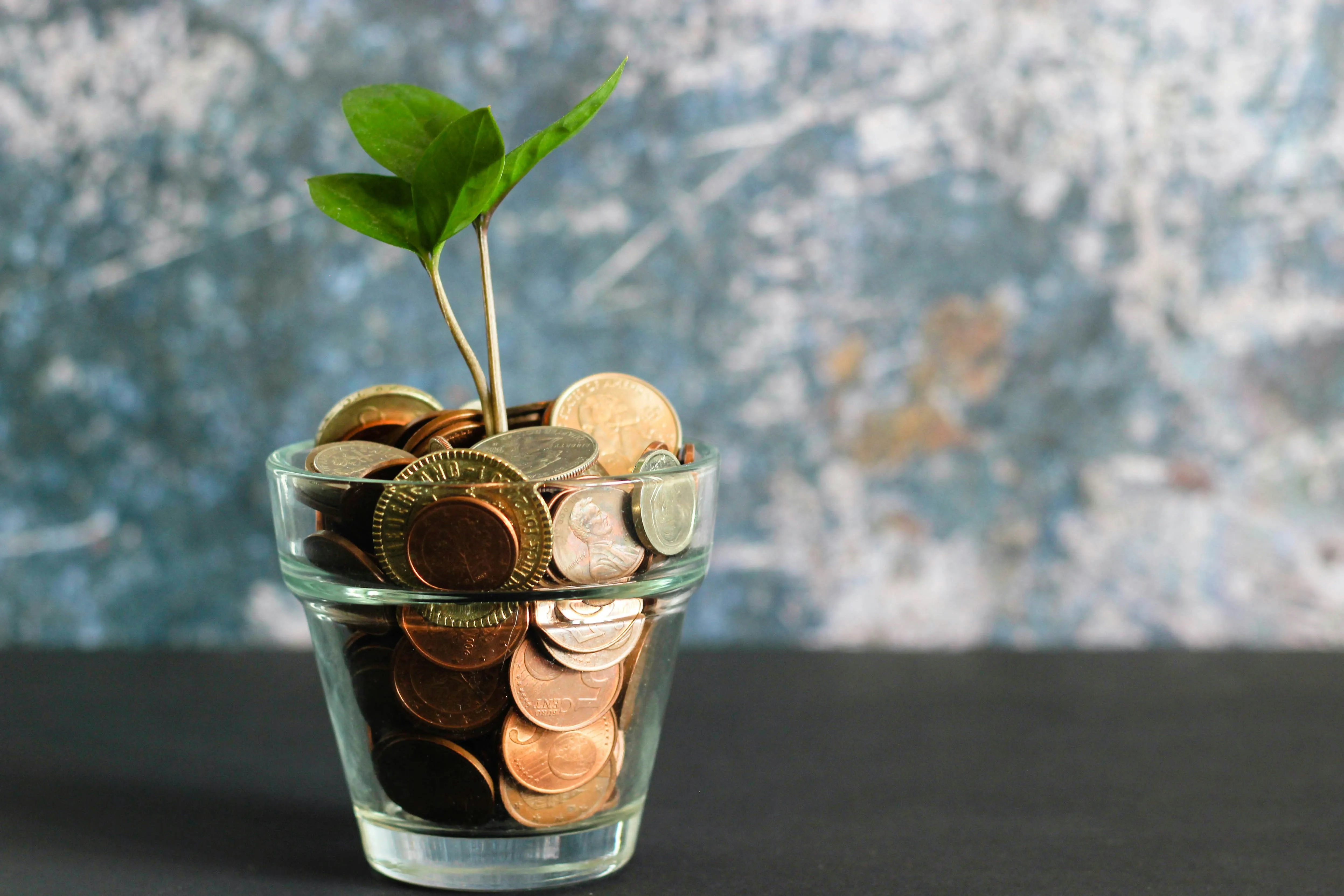 mutual fund represntation image