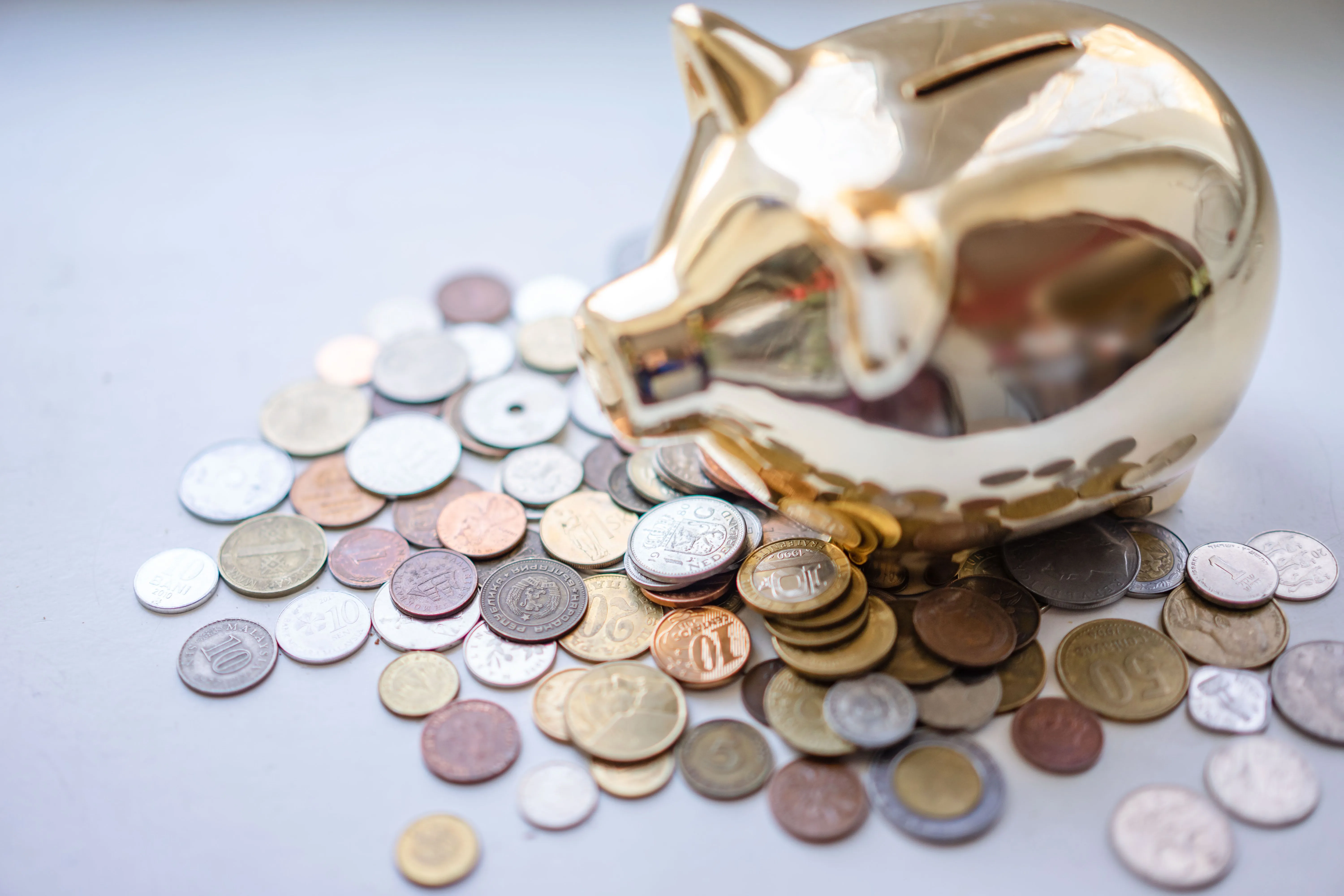 Chit Funds: A Beginner's Guide